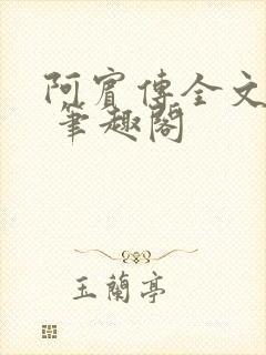 阿宾传全文阅读 笔趣阁