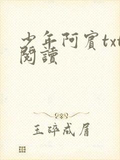 少年阿宾txt阅读封面