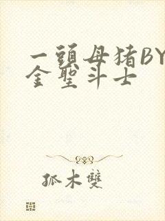 一头母猪BY黄金圣斗士封面