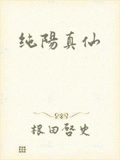 纯阳真仙封面