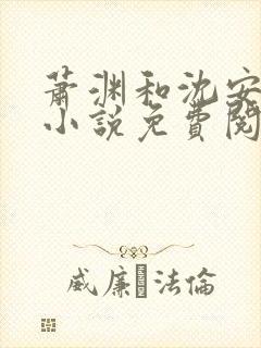 萧渊和沈安安的小说免费阅读