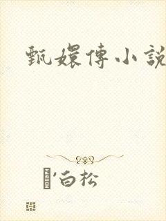 甄嬛传小说