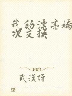 我的漂亮娇妻初次交换封面
