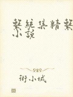 系统集精系统 小说封面