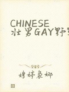CHINESE壮男GAY野战强迫TUBE封面