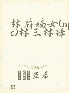 林府嫡女(npc)林玉林璋