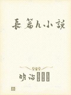 长篇h小说