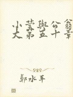 小莹与公翁熄粗大第五十章封面