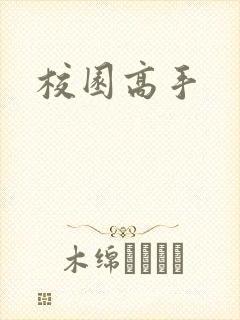 校园高手