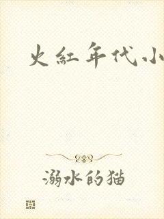 火红年代小说