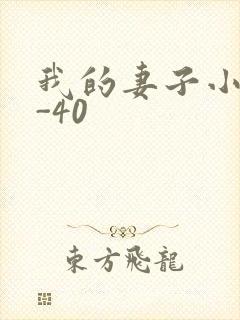 我的妻子小谨1-40封面