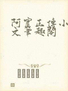 阿宾正传小说全文笔趣阁封面