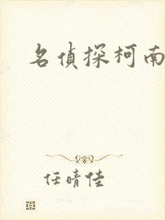 名侦探柯南h