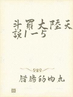 斗罗大陆天狂传说1一5