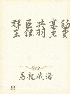 群臣共享的小公主银羽免费阅读