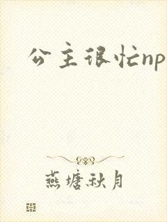 公主很忙npc