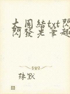 大团结txt闪闪发光笔趣阁