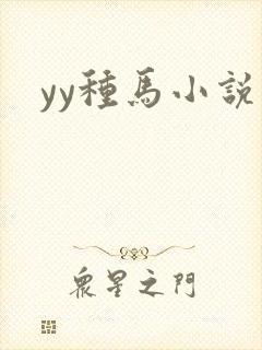 yy种马小说封面