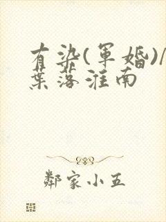 有染(军婚)/叶落淮南