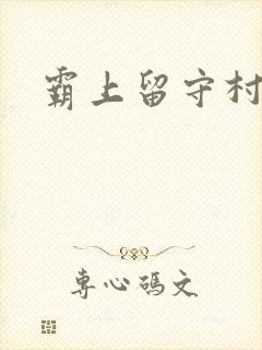 霸上留守村妇封面