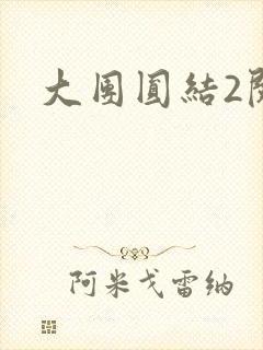 大团圆结2阅读
