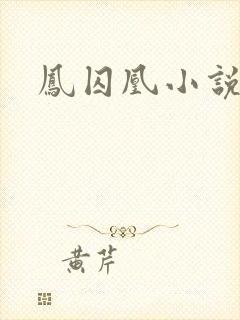 凤囚凰小说