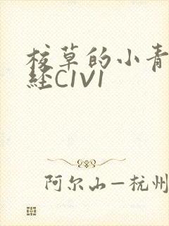 校草的小青梅不经C1V1
