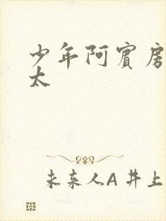 少年阿宾房东太太