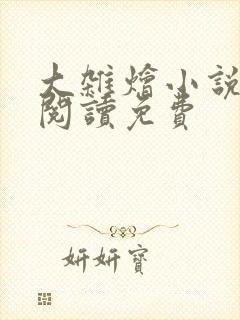大杂烩小说全集阅读免费封面