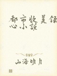 都市收美录宁素心小说
