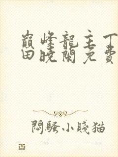 巅峰龙主丁长顺田晓兰免费阅读封面