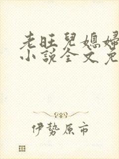 老旺儿媳妇秦雨小说全文免费阅读封面