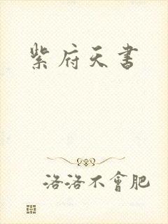 紫府天书