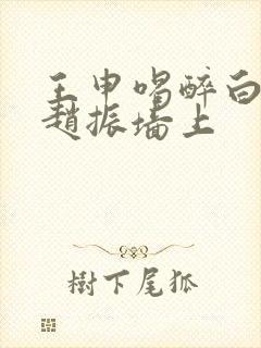 王申喝醉白洁被赵振墙上