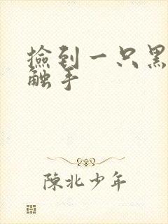 捡到一只黑心小触手封面