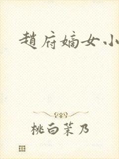 赵府嫡女小说