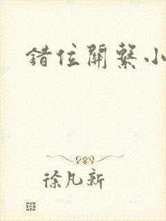 错位关系小说封面
