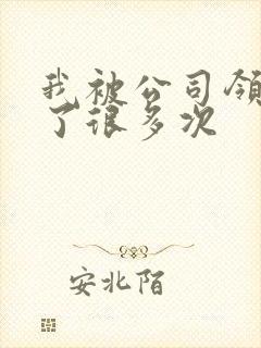 我被公司领导C了很多次封面
