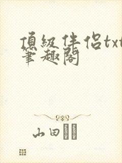 顶级伴侣txt笔趣阁
