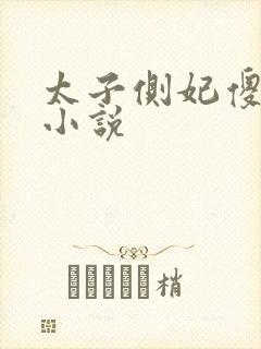 太子侧妃傻乎乎小说