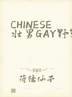 CHINESE壮男GAY野战强迫TUBE封面