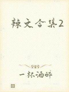 辣文合集2封面