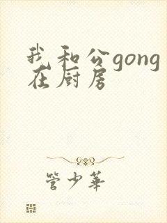 我和公gong在厨房