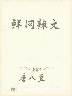 鲜网辣文封面