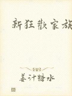 新狂欢家族小说