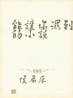 能让你湿到不行的小说
