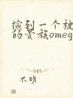 捡到一个被抹布的贵族omega封面