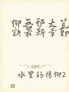 柳无邪太荒吞天诀最新章节