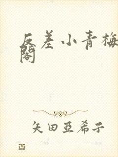 反差小青梅笔趣阁