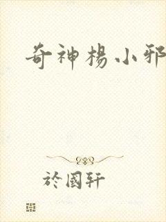 奇神杨小邪封面